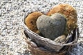 Stone hearts with moss Royalty Free Stock Photo