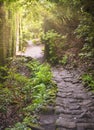 Hiking path between carved walls covered with moss in the stone quarry of Mount Nokogiri. Royalty Free Stock Photo