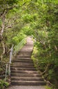 Hiking path between carved walls covered with moss in the stone quarry of Mount Nokogiri. Royalty Free Stock Photo