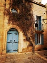 House with climbing plant inside Mdina, Malta