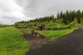 Stone hut with grass roof in Reykholt