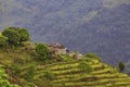 A stone hut located in a barley plantation between the walking path to the Annapurna Base Camp