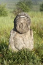 Stone idol in the steppe Royalty Free Stock Photo