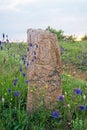 Stone idol in the steppe. National Park