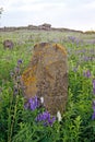 Stone idol in the steppe