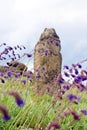 Stone idol in the steppe