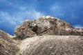 stone image of an iguana