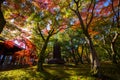 stone inscription with autumn foliage in tofuku-ji, Kyoto