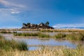 Stone Island, view through the reeds, near floating Uros islands on lake Titicaca in Peru, South America. Royalty Free Stock Photo