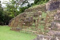 Stone Jaguar Face Royalty Free Stock Photo