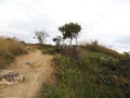 Stone jars lying in clusters on the lower foot slopes of Xiangkhoang Plateau, Phonsavan, Laos Dec 2015