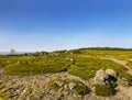 Stone labyrinth on the Big Zayatsky island of the Solovetsky archipelago, White sea