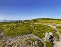 Stone labyrinth on the Big Zayatsky island of the Solovetsky archipelago, White sea,