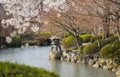 Stone lantern basket in Japanese garden of Toji in Kyoto in Japan with cherry blossoms Royalty Free Stock Photo