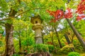 Zenrin-ji Temple stone lantern