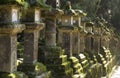 Stone lanterns, Nara, Japan Royalty Free Stock Photo