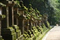 Stone lanterns in Nara, Japan