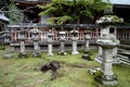 Stone Lanterns Nara, Japan Royalty Free Stock Photo