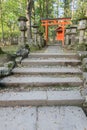 Stone lanterns and a Torii gate at the Kasuga Taisha Shrine in N Royalty Free Stock Photo