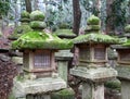 Stone lanterns at the Wakamiya Shrine in Nara Royalty Free Stock Photo
