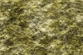 Stone with lichen 3D texture background Royalty Free Stock Photo