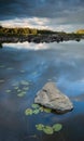 Stone and lilys in the lake