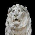 Stone lion Royalty Free Stock Photo