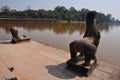 Stone lion and baray at Ankor Wat,Cambodia Royalty Free Stock Photo