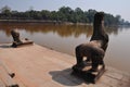 Stone lion and baray at Ankor Wat,Cambodia