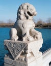 Stone lion of china Royalty Free Stock Photo