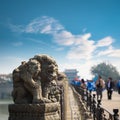 Stone lion closeup in beijing