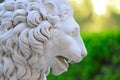 Stone lion head close-up