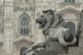 Stone Lion Sculpture in Milan Royalty Free Stock Photo