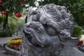 Stone lion sculpture mascot of china Royalty Free Stock Photo