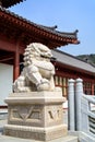 Stone lion statue in chinese temple Royalty Free Stock Photo