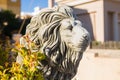 Stone lion statue. Marble Sculpture of a lion on pedestal Royalty Free Stock Photo