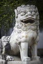 Stone lion statues