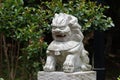 Stone lion-stone carving