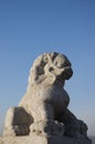 Stone lion