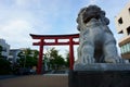 Stone lion and Tori gate in front of Dankazura pathway to Tsurugaoka Hachimangu shrine