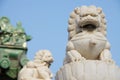 Stone Lions