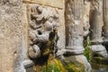Stone lions head of Rimondi Fountain