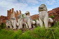 Stone lions in the ruins of an ancient temple. Thailand, Ayuthaya
