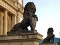 Stone lions on the steps of an ancient building Royalty Free Stock Photo