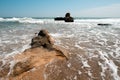 A stone looking at the foaming sea, Las Rotas, Denia. Royalty Free Stock Photo