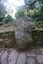 Stone in the Lost City, Ciudad Perdida with ancient inscription and symbols, close to Santa Marta, Colombia Royalty Free Stock Photo