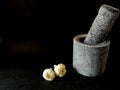 Stone made mortar and pestle with two garlics. Royalty Free Stock Photo