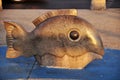 Stone marble nemo fish statue on floor at swordfish marlin statue area Kota Kinabalu seafront for malaysian people and foreign Royalty Free Stock Photo