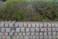 Stone masonry made of rough rugged square gray stones, fastened with cement mortar, fence with hedge of young shrub trees.