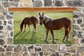 Stone masonry wall window horses meadow view